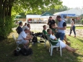 IMG_3768 IMG_3768
